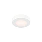 Dals Lighting FMP05-CC-WH White Flush Mount