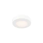 Dals Lighting FMP05-CC-WH White Flush Mount