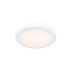 Dals Lighting FMP09-CC-WH White Flush Mount