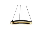 Dals Lighting PDR14-CC-BG Eclipse 25W Black and Gold Pendant