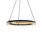 Dals Lighting PDR14-CC-BG Eclipse 25W Black and Gold Pendant