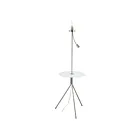 Eglo 203676A Policara 60W Satin Nickel Floor Lamp