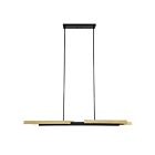 Eglo 207775a Grazia 2-Lights Black and Gold LED Pendant