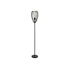 Eglo 49145A 60W Black Floor Lamp