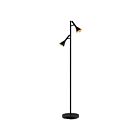 Eglo 97806A Cortaderas 2-Lights 20W Black and Gold Floor Lamp