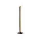 Eglo 99296A Camacho 22W Black and Brown Floor Lamp