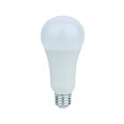 Eiko LED19WA21-OMN-850-G8 19W A21 Omni LED Bulb 5000K