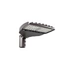 Eralux AE-OD-GY LED Outdoor area light