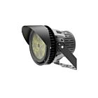 Eralux AE-OD-HC Black LED Outdoor stadium light