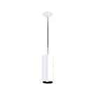 Eralux ELEGANZA AE-TL-EZ-40R-12-PC 20W LED Indoor Pendant