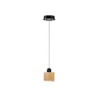 ET2 Lighting E20860-75BKGLD Nob 1-Light 5W Black/Gold Pendant