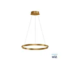 ET2 Lighting E22724-GLD Groove WiZ 1-Light 27W Gold Pendant
