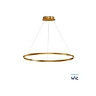 ET2 Lighting E22728-GLD Groove WiZ 1-Light 41W Gold Pendant