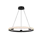 ET2 Lighting E23512-BK Nodes 1-Light 35W Black Pendant