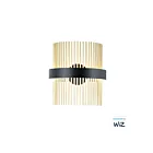 ET2 Lighting Chimes WiZ E34201-BKSBR 2-Lights Black/Satin Brass 34W LED Wall Sconce