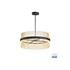 ET2 Lighting E34207-BKSBR Chimes WiZ 2-Lights 146W Black/Satin Brass Pendant