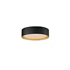 ET2 Lighting Echo E51012-BKGLD 1-Light 25W Black/Gold LED Semi Flush Mount