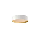 ET2 Lighting Echo E51012-WTGLD 1-Light 25W White/Gold LED Semi Flush Mount