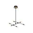 Eurofase Lighting 37050-016 Albany 15W LED Chandelier