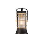 Eurofase Rivamar 44262-013 1-Light Dark Bronze 60W Outdoor Lantern