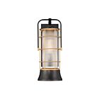 Eurofase Lighting 44264-017 Rivamar 1-Light 60W Dark Bronze Outdoor Lantern