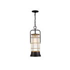 Eurofase Lighting 44266-011 Rivamar 60W Dark Bronze Incandescent Pendant