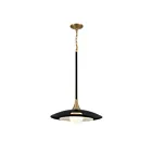 Eurofase Lighting Welsh 46441-041 10W Black Led Pendant