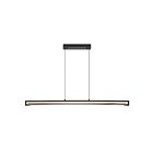 Eurofase Lighting 50058-013 Neoness 1-Light 28W Matte Black LED Chandelier