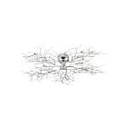 Eurofase Lighting 12264-018 Autumn 200W Chrome Wall Light