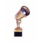 Focus Industries DL-20-NL-EC-BRS Brass 9W LED Directional Bullet Light