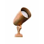 Focus Industries DL-30-HID Directional Light