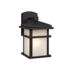 Galaxy Lighting 314480BK 100W Black Outdoor Wall Mount