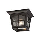 Galaxy Lighting 320389BK 100W Black Outdoor Ceiling Light