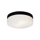 Galaxy Lighting 612314BK-LED 20W Black Flush Mount