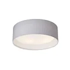 Galaxy Lighting 652100GY-2LED 30W Grey Flush Mount