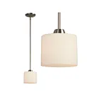 Galaxy Lighting 913164BN 60W Brushed Nickel Pendant