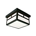 Galaxy Lighting L306120BK012A1 12W Black Outdoor Ceiling Light