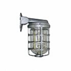Rab Design VBS100CG 100W Vapourproof Fixture