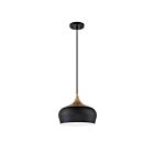Kendal Lighting ORIAN PF129-BLK-BRS Black 1-Light 100W Pendant