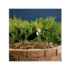 Kichler 15384BKT Black 5.00W Mini Accent Light