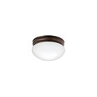 Kichler 209OZ 2-Lights Olde Bronze 60W Flush Mount Ceiling Light