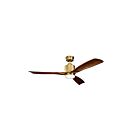 Kichler Ridley II 300027NBR Natural Brass 17 Watt Ceiling Fan