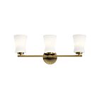 Kichler 55117BNB 3-Lights Brushed Natural Brass 75W Vanity Light