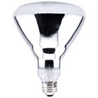 Ledvance 250BR40-1-120V 250W BR40 Incandescent Infrared Reflector Lamp