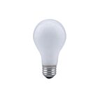 Ledvance 50A19-RS-75V 50W A19 Incandescent Bulb