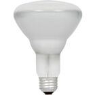 Ledvance 50BR30-HAL-120V 50W BR30 Halogen Reflector Lamp