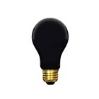 Ledvance 60A-BLACKLIGHT-RP-120V 60W A19 Incandescent Bulb