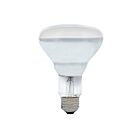 Ledvance 65BR30FL324120V 65W BR30 Incandescent Bulb 2850K