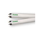 Ledvance FO2521W835XPXLSSECO3 21W 3' OCTRON T8 Fluorescent Tube