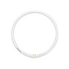 Ledvance FPC55835HO 55W PENTRON Circline T5 CFL Lamp 4-pin